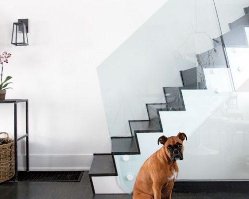 Glass Railing - Townhouse in Toronto Glass Railing - Townhouse in Toronto