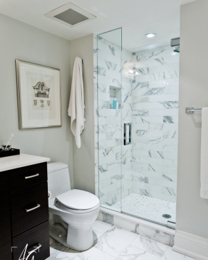 Fixed Panel with Door