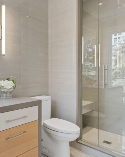 Fixed Panel with Door