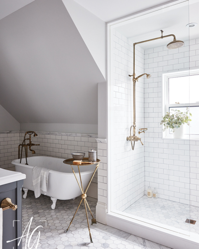 Fixed Panel with Door